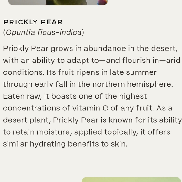 New Twentynine Palms Skincare Cosmic Cypress Facial Cleanser Clary Sage 3.3oz - Picture 3 of 6